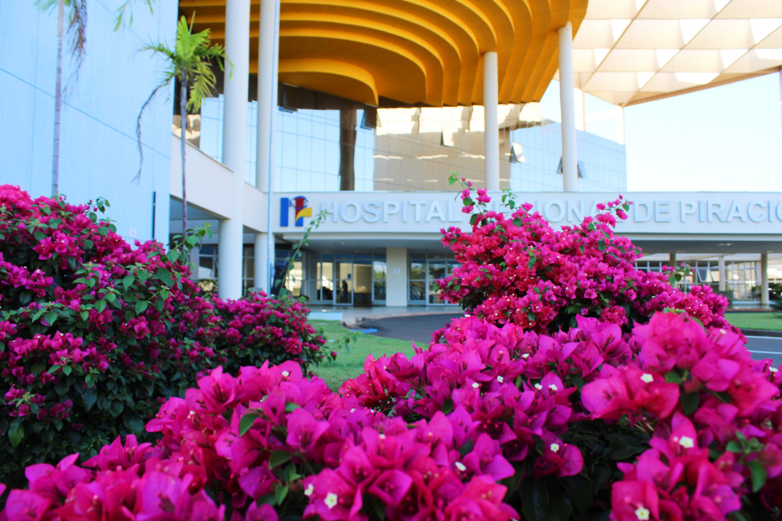 Leia mais sobre o artigo Primavera chega e enaltece a beleza do jardim do HRP