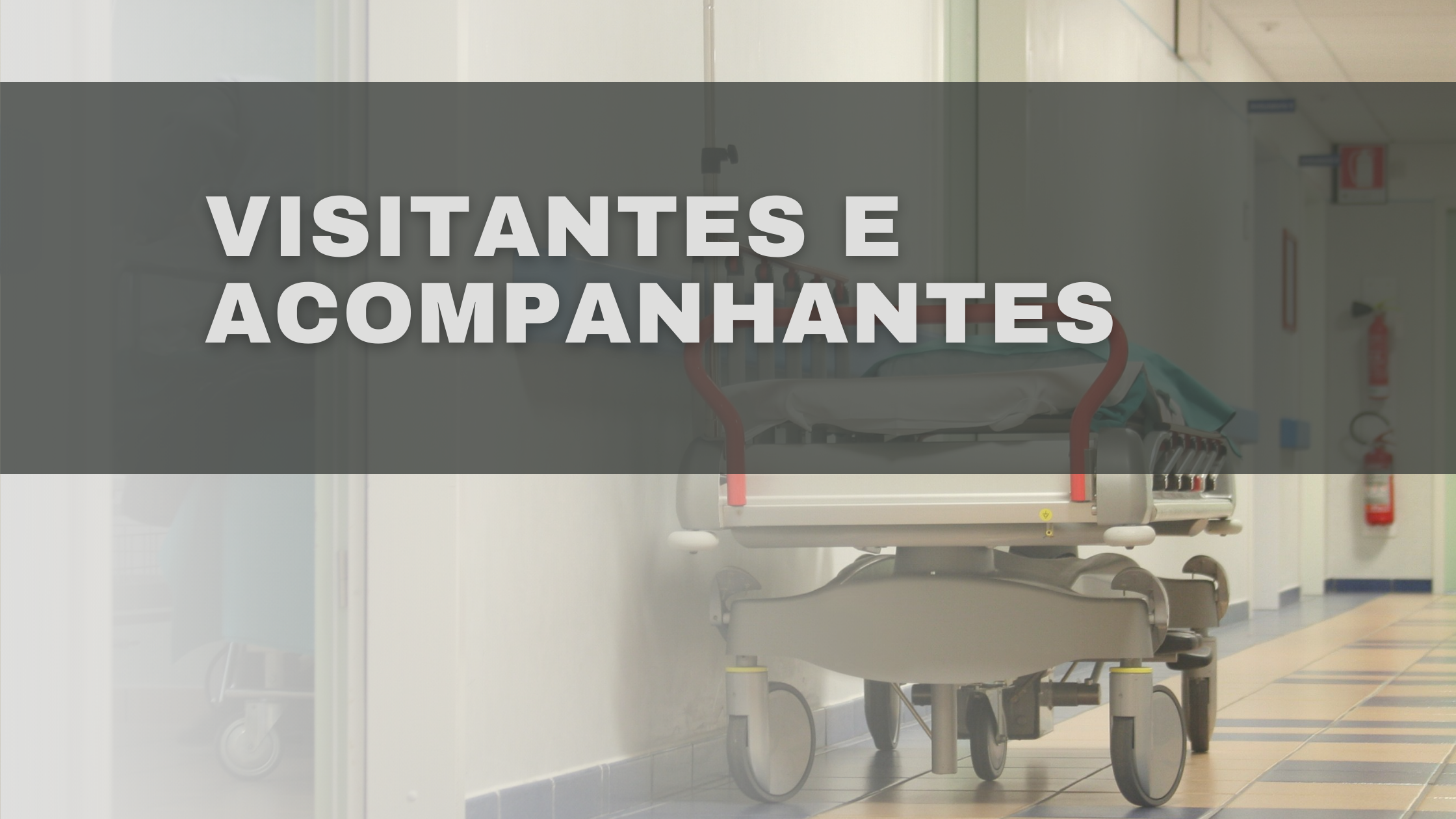 Leia mais sobre o artigo Visitantes e Acompanhantes