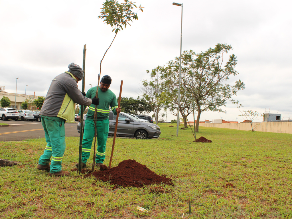 Leia mais sobre o artigo Estacionamento do HRP-Unicamp ganha 55 mudas de árvores