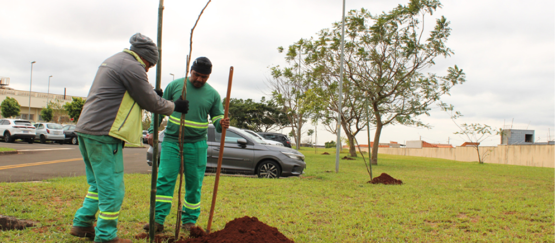 Equipe do Viveiro Municipal plantando mudas no estacionamento do HRP-Unicamp